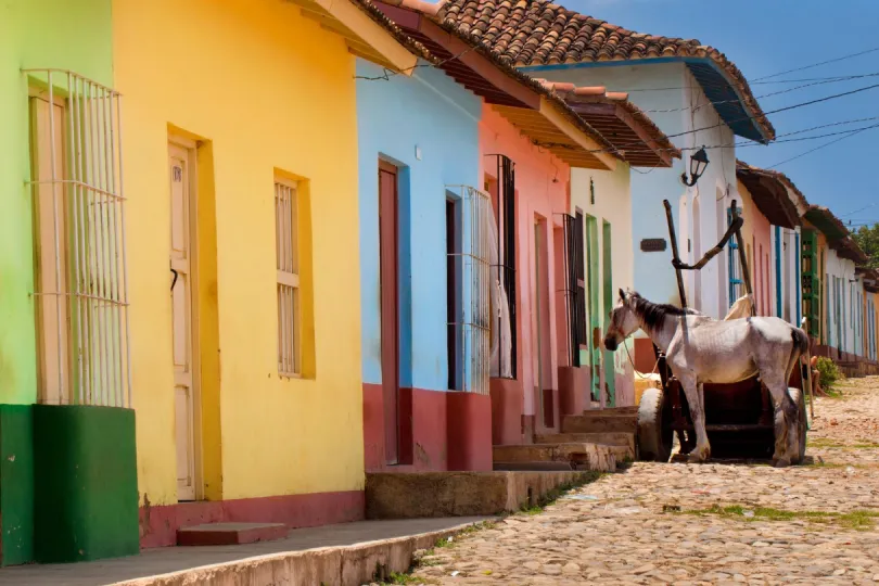 Bunte kubanische Häuser und ein Pferd
