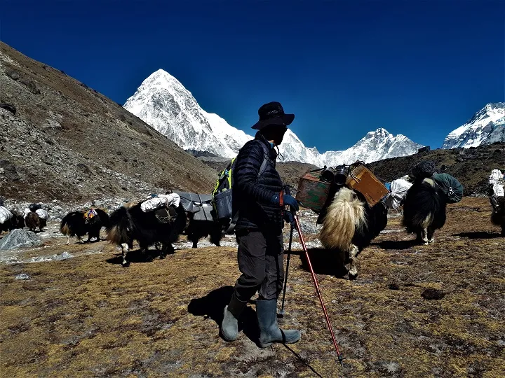 Ein Yakhirte mit seiner Herde in den Bergen 