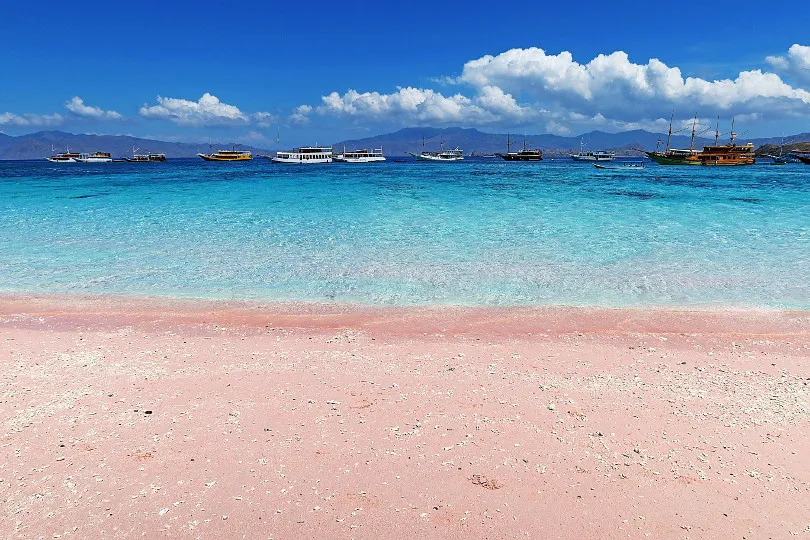 Pink Beach Indonesien