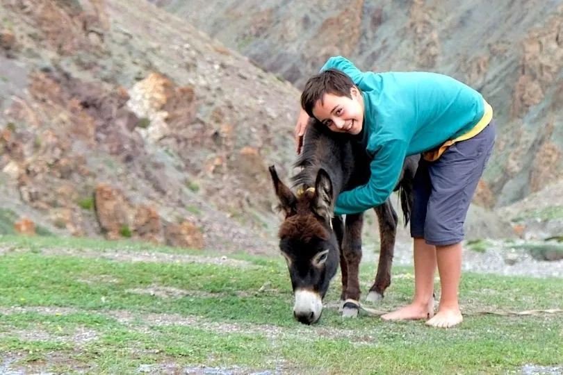 Eine Frau kuschelt mit einem Esel während des Trekkings in Ladakh