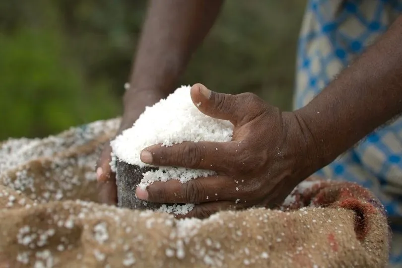 Lerne mehr über die Salzgewinnung auf deiner authentischen Südafrika Rundreise