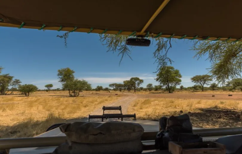 Wie wäre es mit einer geführten Safari auf deiner Namibia Rundreise?