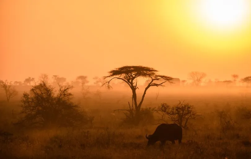Entdecke wunderschöne Sonnenaufgänge bei deiner Fotoreise durch Tansania im September 2024