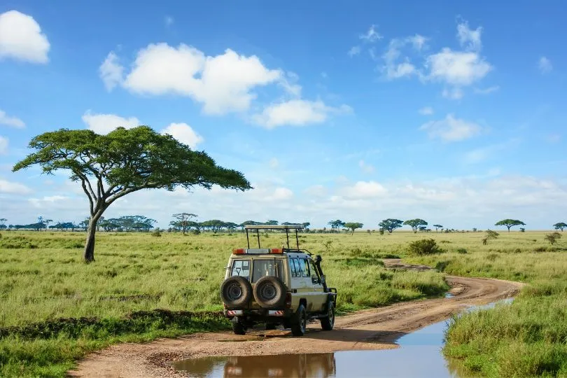 Entdecke viele Nationalparks auf deiner Camping Safari Tansania