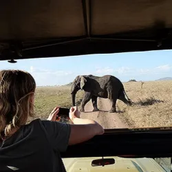 Denise und Rob nahmen an einer Safari teil und beobachteten Elefanten aus der Nähe