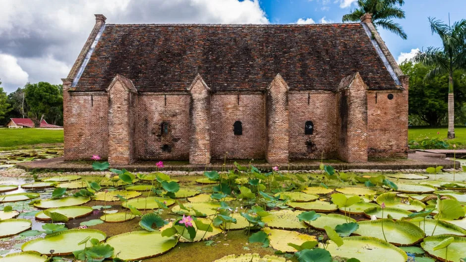 Burg in Suriname