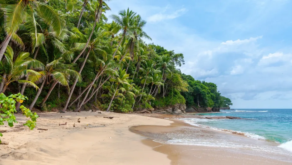 Entspannen Sie am Strand bei unseren Panama Reisen