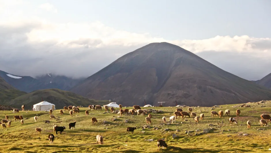 Die mongolische weite Landschaft