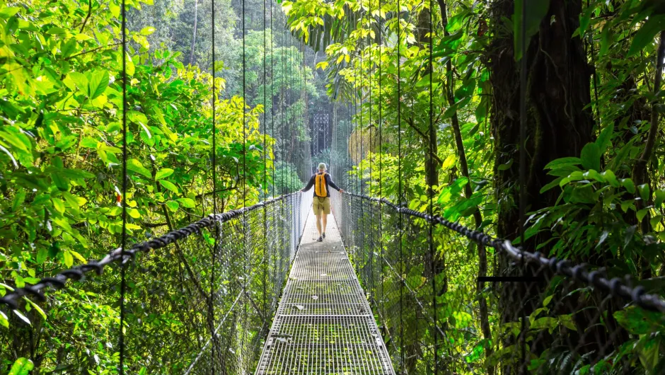 Erkunde Regenwald auf deiner Costa Rica Mietwagenrundreise