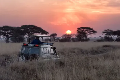 Bei einer Tansania Reise auf Safari gehen