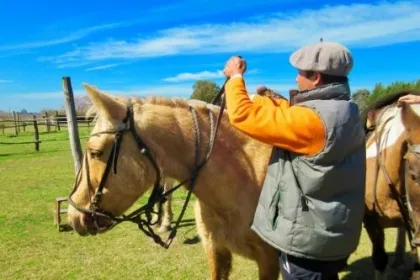 Chile Estancia