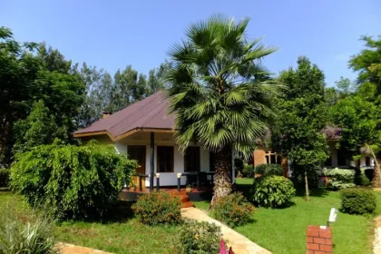 Tansania Bougainville Safari Lodge.
