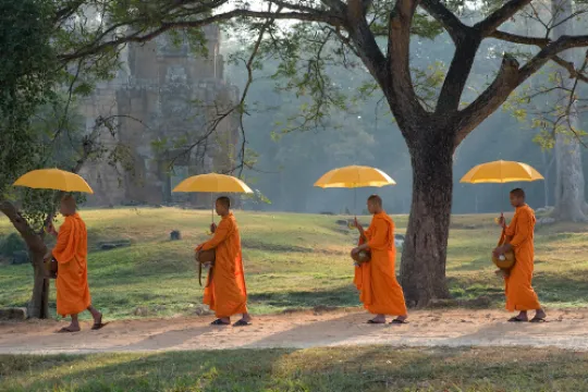 Vier Mönche laufen in Kambodscha mit Sonnenschirmen auf einem Weg