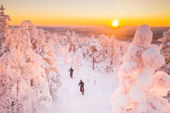 Entdecke die wunderbaren Landschaften auf deiner Lappland Winterreise