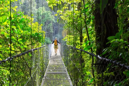 Erkunde Regenwald auf deiner Costa Rica Mietwagenrundreise