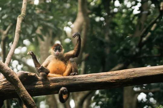 Costa Rica mit Kindern.